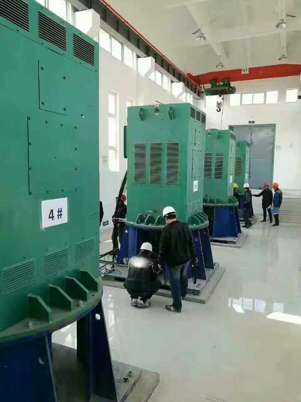 YE5-3552-6某污水处理厂使用我厂的立式高压电机安装现场
