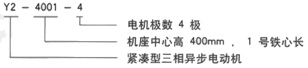 YR系列(H355-1000)高压YE5-3552-6三相异步电机西安西玛电机型号说明